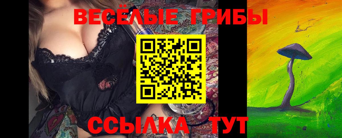 Грозный  купить закладку  Вход с VPN  Псилоцибиновые грибы мухоморы 